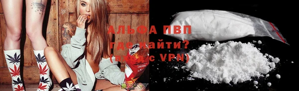 амф Бердск