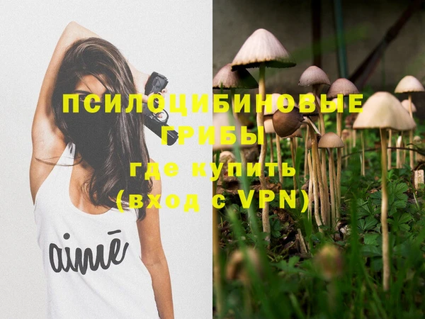 дмт Абдулино