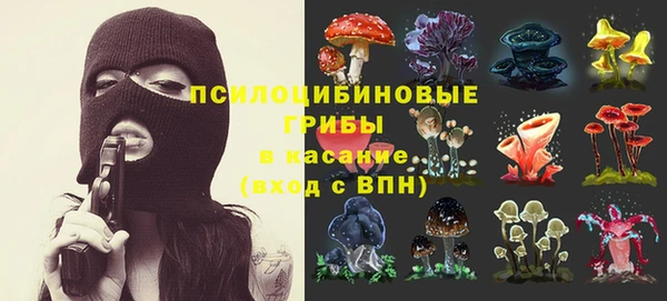 кокс Медвежьегорск